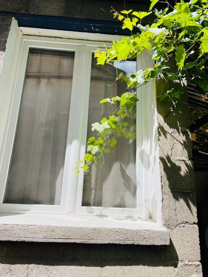 Studio Independant De 25M2 Leilighet Vitry-sur-Seine Eksteriør bilde